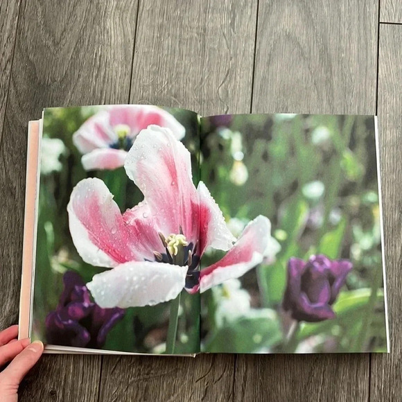 Cool Book - Gatherings: recipes for  feasts great and small by Flora Shedden - Picture 2 of 3